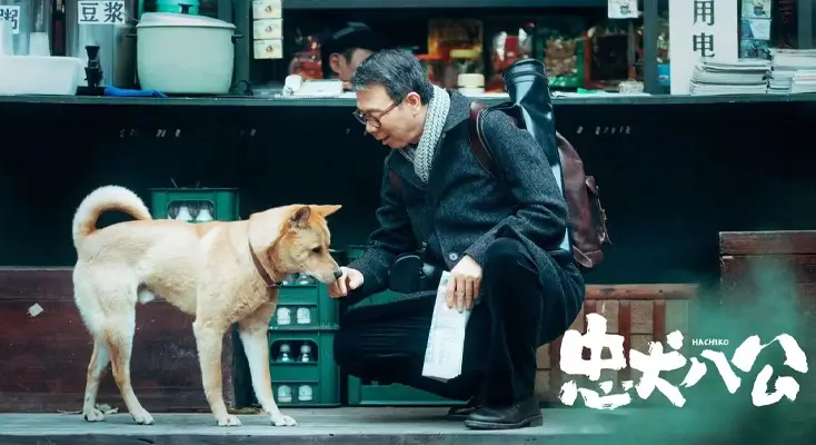 怎么破解地区限制指南